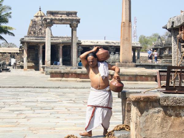 History, culture & wildlife of India vacation