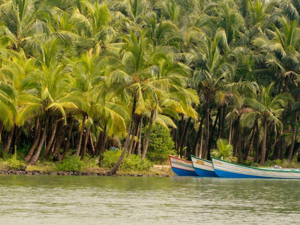 Northern Kerala tailor tour, tailor made