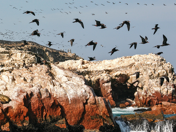 Peru photography vacation