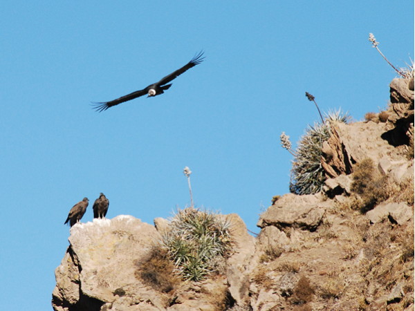 Peru photography vacation