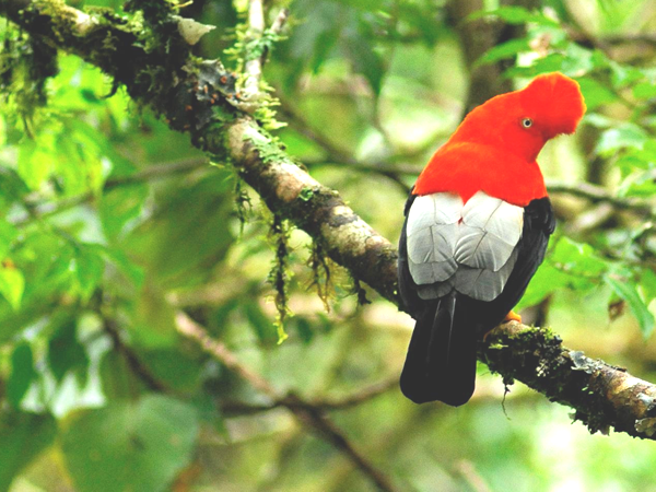 Peru photography vacation