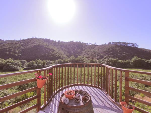 Algarve yoga and surf eco retreat, Portugal