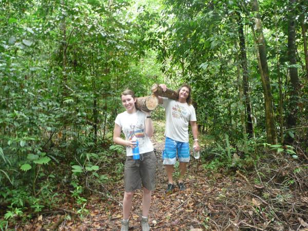 Orangutan volunteering in Borneo