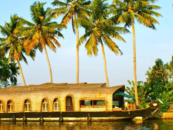 Tamil Nadu and Kerala Tour, India
