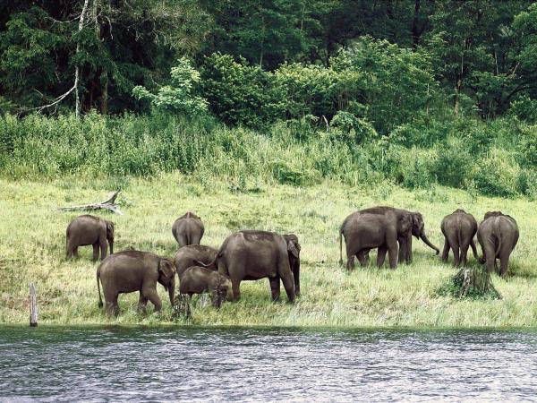 Karnataka luxury tour in India