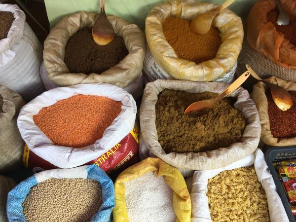 Culture and history tour of Sri Lanka