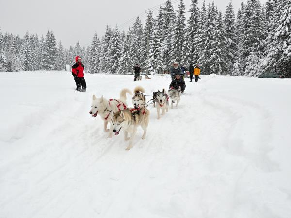 Winter family vacation in Slovakia, High Tatras