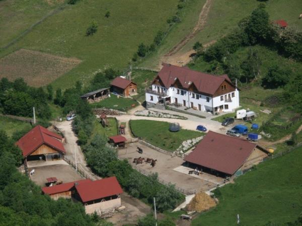Carpathia horse riding vacation in Romania