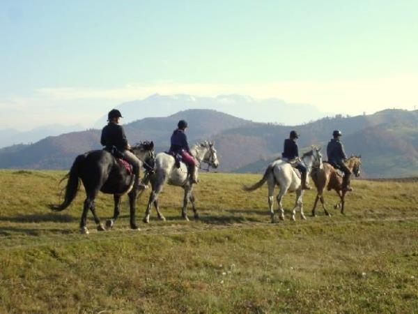 Carpathia horse riding vacation in Romania