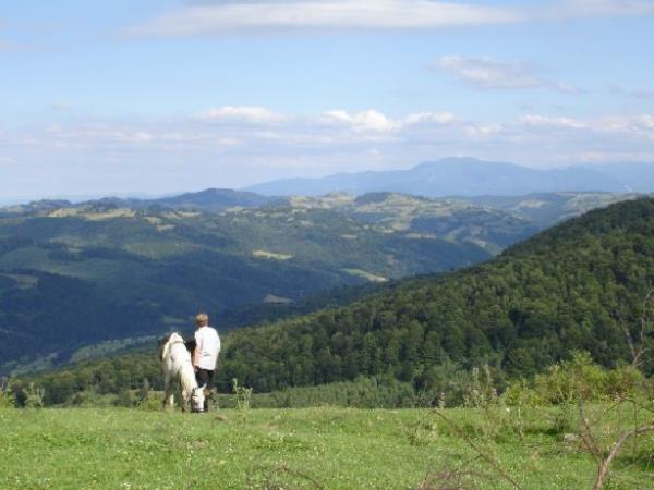 Carpathia horse riding vacation in Romania