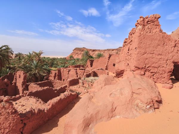 Algeria tour, Algerian Odyssey