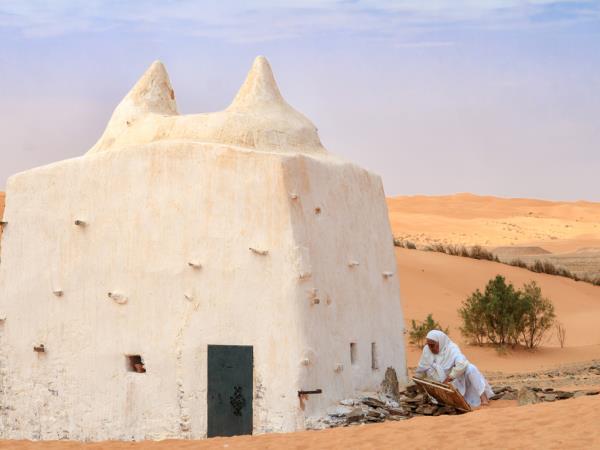 Algeria tour, Algerian Odyssey