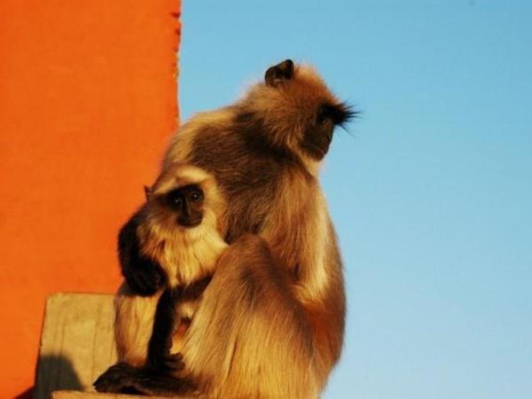 Rajasthan small group tour, India