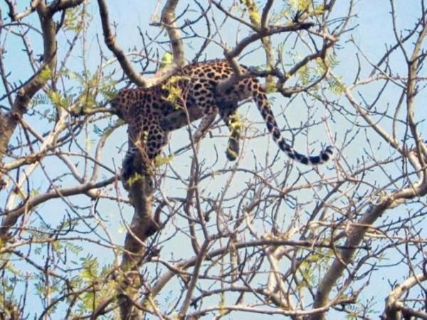 Rajasthan small group tour, India