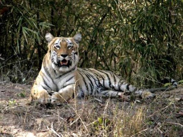 Central India small group tour