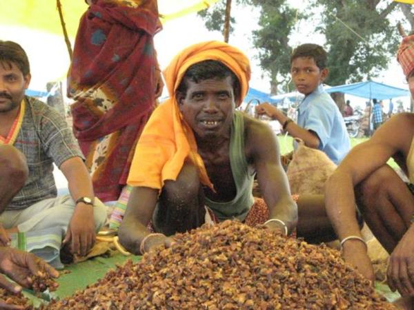 Central India small group tour