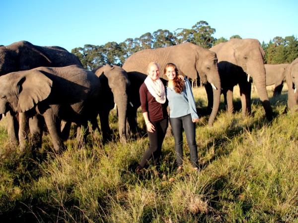 Volunteer with elephants in South Africa
