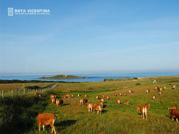 Rota Vicentina walking vacation in Portugal