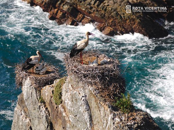 Rota Vicentina walking vacation in Portugal