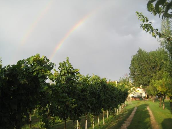 Italy cycling vacation, Venice & Veneto