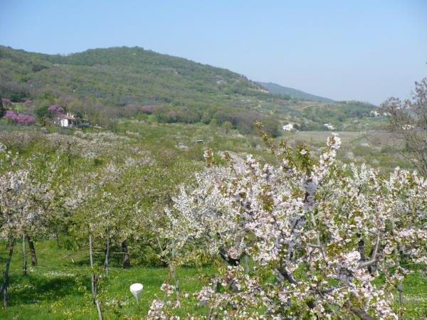 Italy cycling vacation, Venice & Veneto