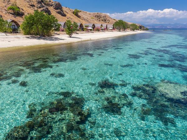 Komodo and Flores adventure vacation in Indonesia