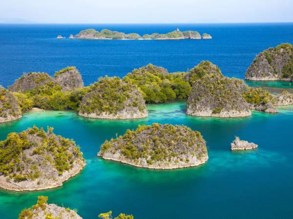 Snorkel Raja Ampat and Java tour, Indonesia