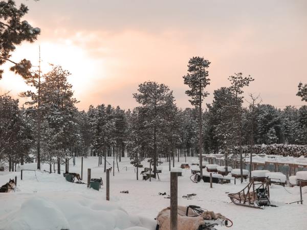 Lapland vacation, husky safari & log cottage