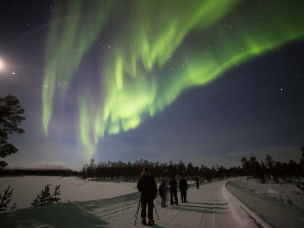 Lapland vacation, husky safari & log cottage