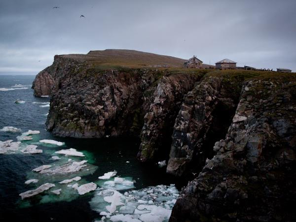 Wrangel and Herald Islands expedition cruise