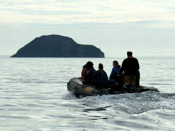 Wrangel and Herald Islands expedition cruise