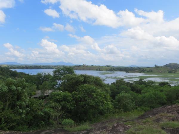 Elephant & wildlife conservation volunteering in Sri Lanka
