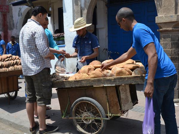 Morocco highlights vacation