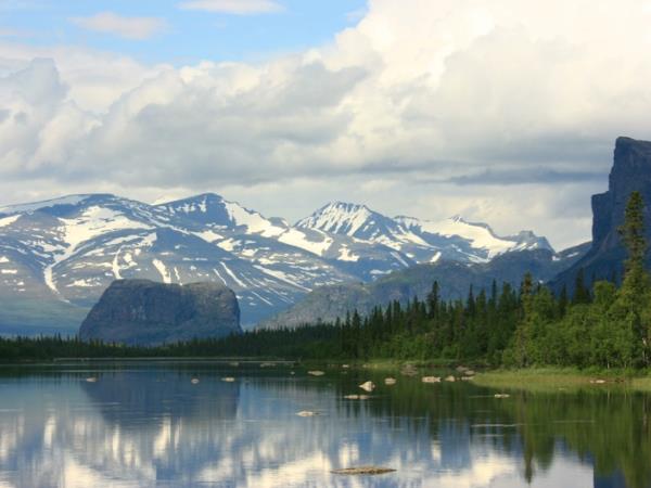 Sweden wildlife vacation, Moose expedition