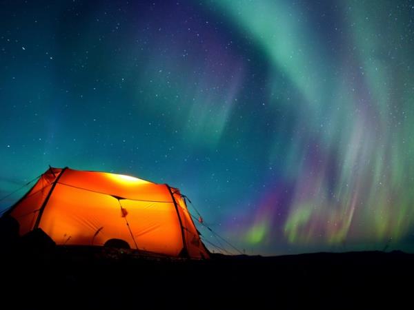 Sweden wildlife vacation, Moose expedition