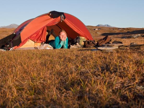 Sweden wildlife vacation, Moose expedition