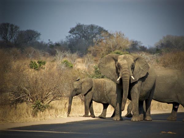 Student research placement in Malawi