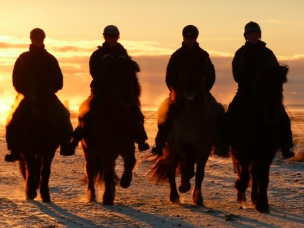 Iceland horse riding vacation