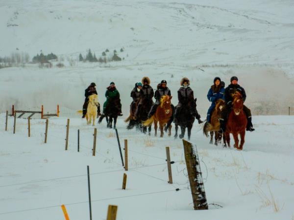 Iceland horse riding vacation