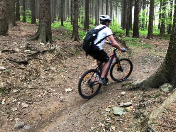 Single track cycling vacation in Poland