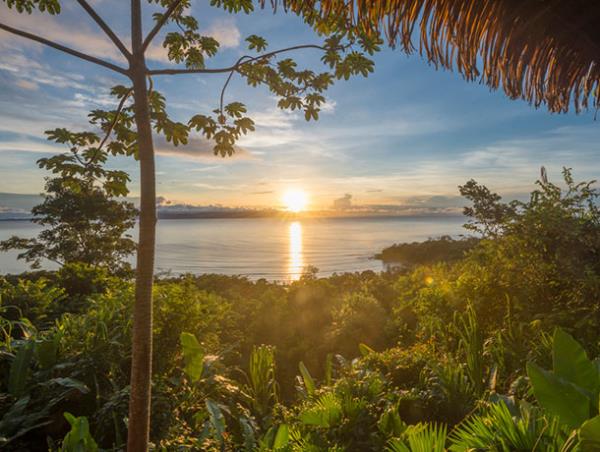 Tailor made Costa Rica wildlife vacation