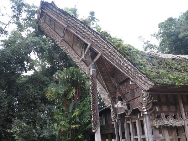 Sulawesi vacation, 13 days