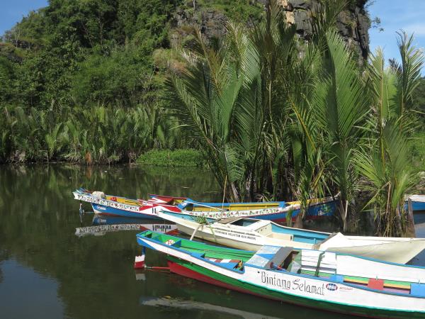 Sulawesi vacation, 13 days