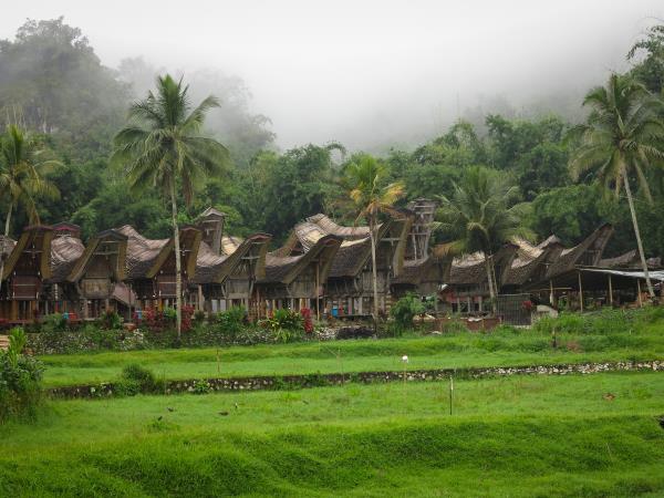 Sulawesi vacation, 13 days