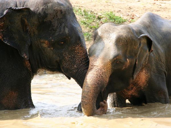 Thailand beach & rainforest vacation