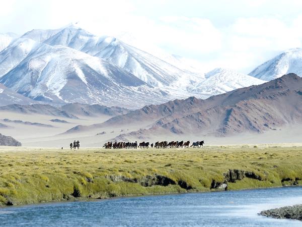 Mongolia eagle hunting festival vacation