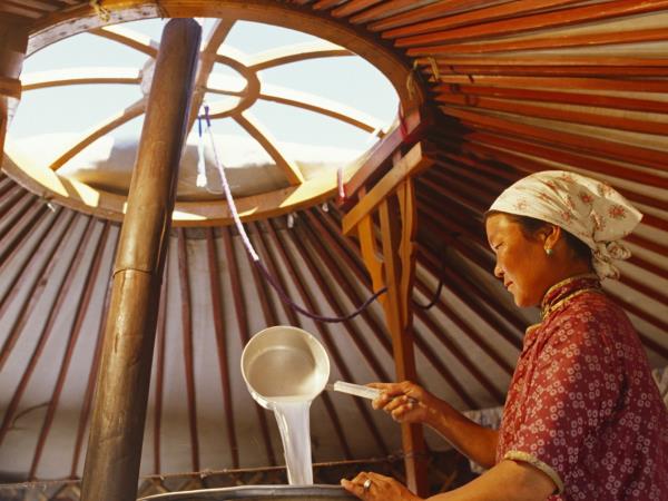 Mongolia eagle hunting festival vacation