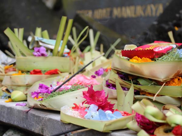 Indonesia vacation, orangutans and culture