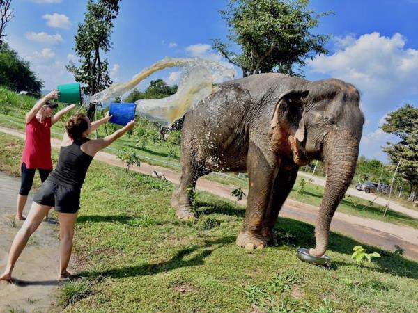 Elephant conservation vacation, Thailand