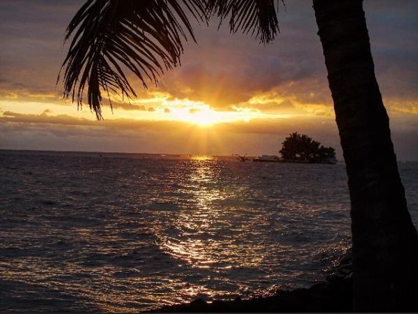 Reef conservation volunteering in Belize